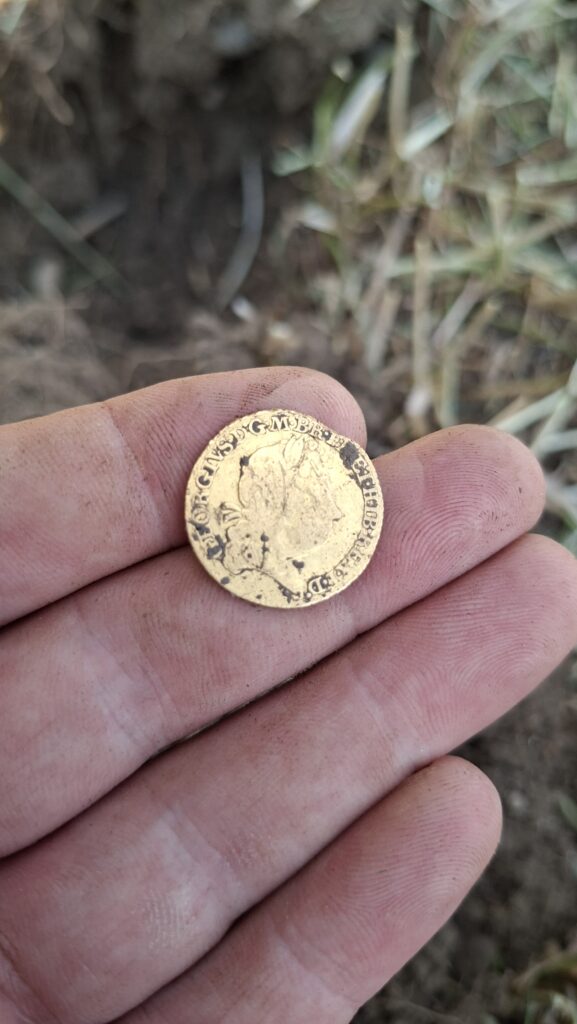 Gold coin