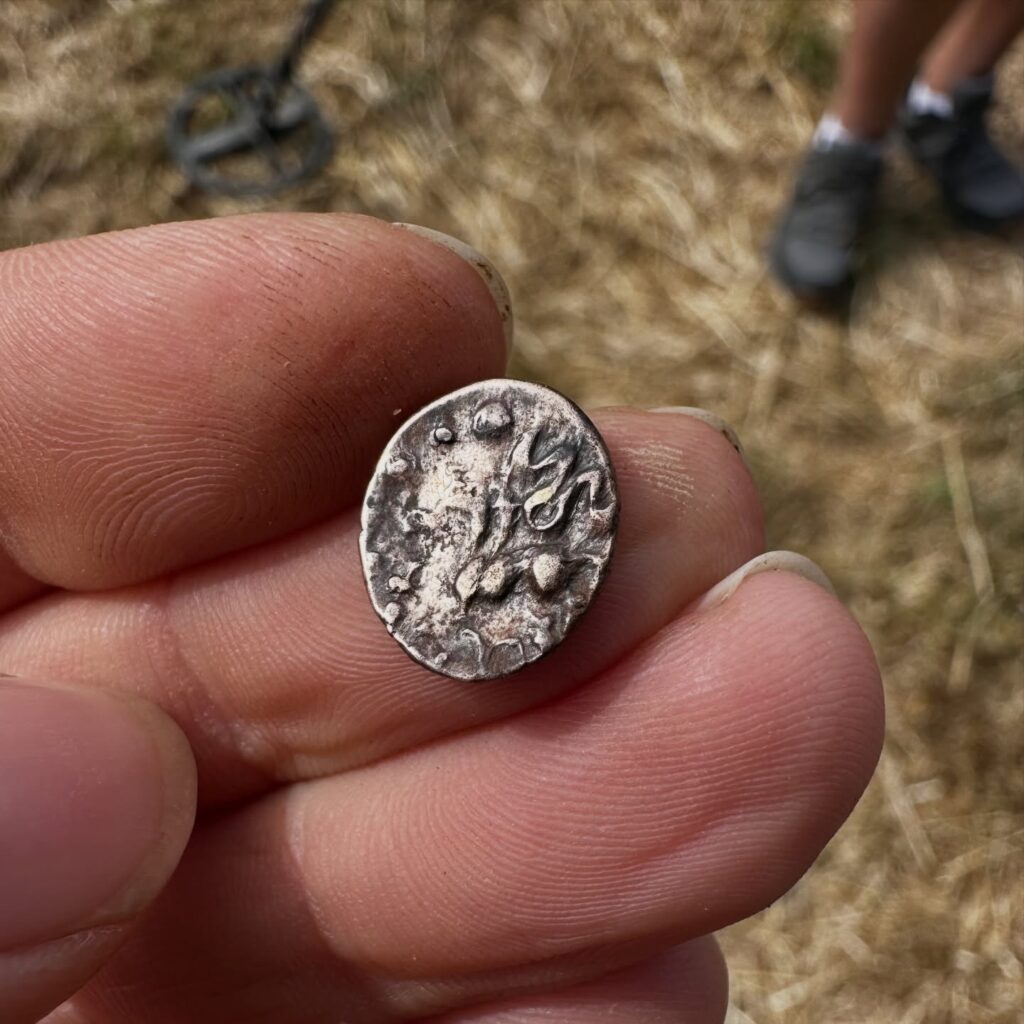 Rose gold Cantii tribe quarter stater - Double Torc/Ribbon buckle type