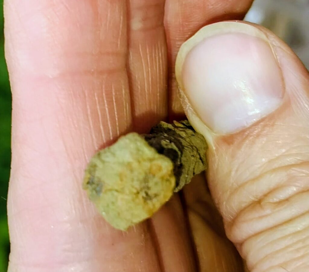Square head nail