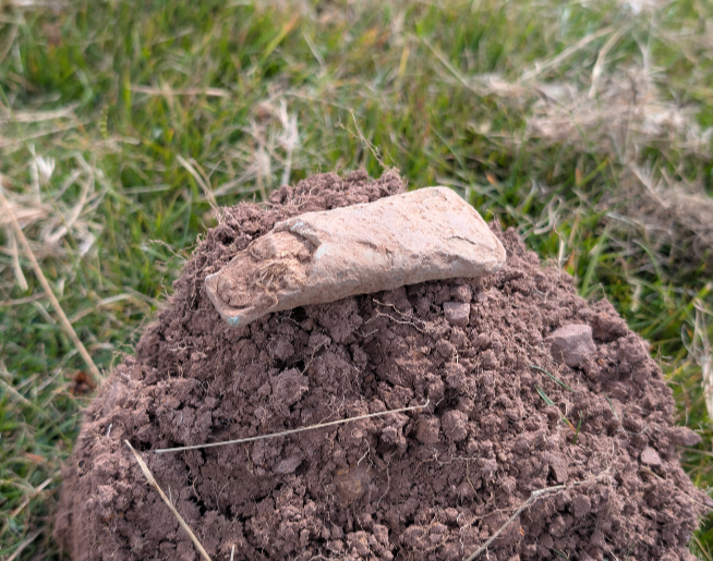 Bronze age socketed axe head