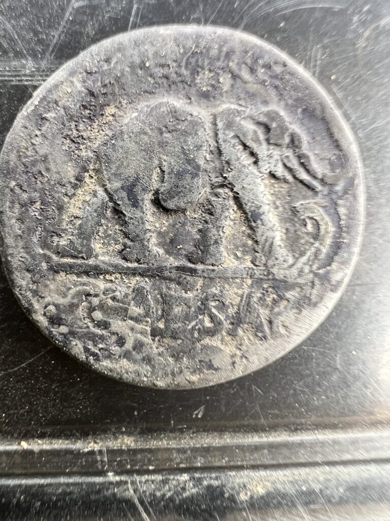 Julius Cesar